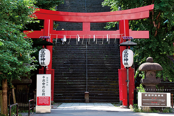 神社 参拝 仕方