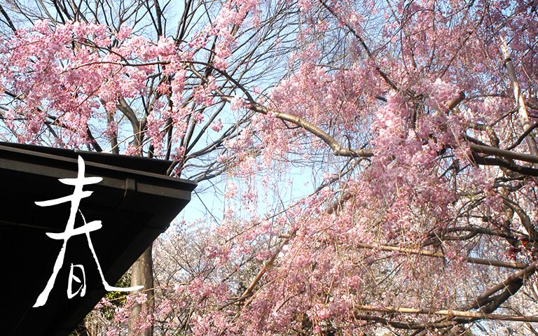 ホーム 愛宕神社