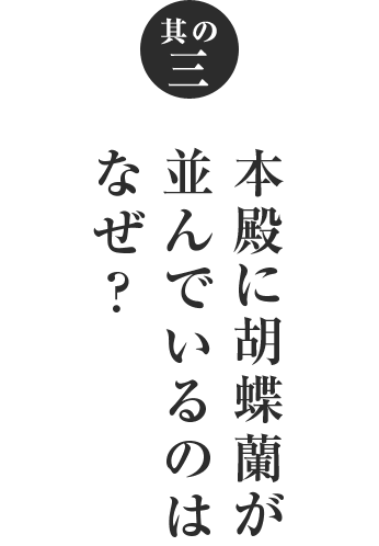 本殿に胡蝶蘭が並んでいるのはなぜ？