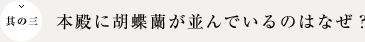 本殿に胡蝶蘭が並んでいるのはなぜ？